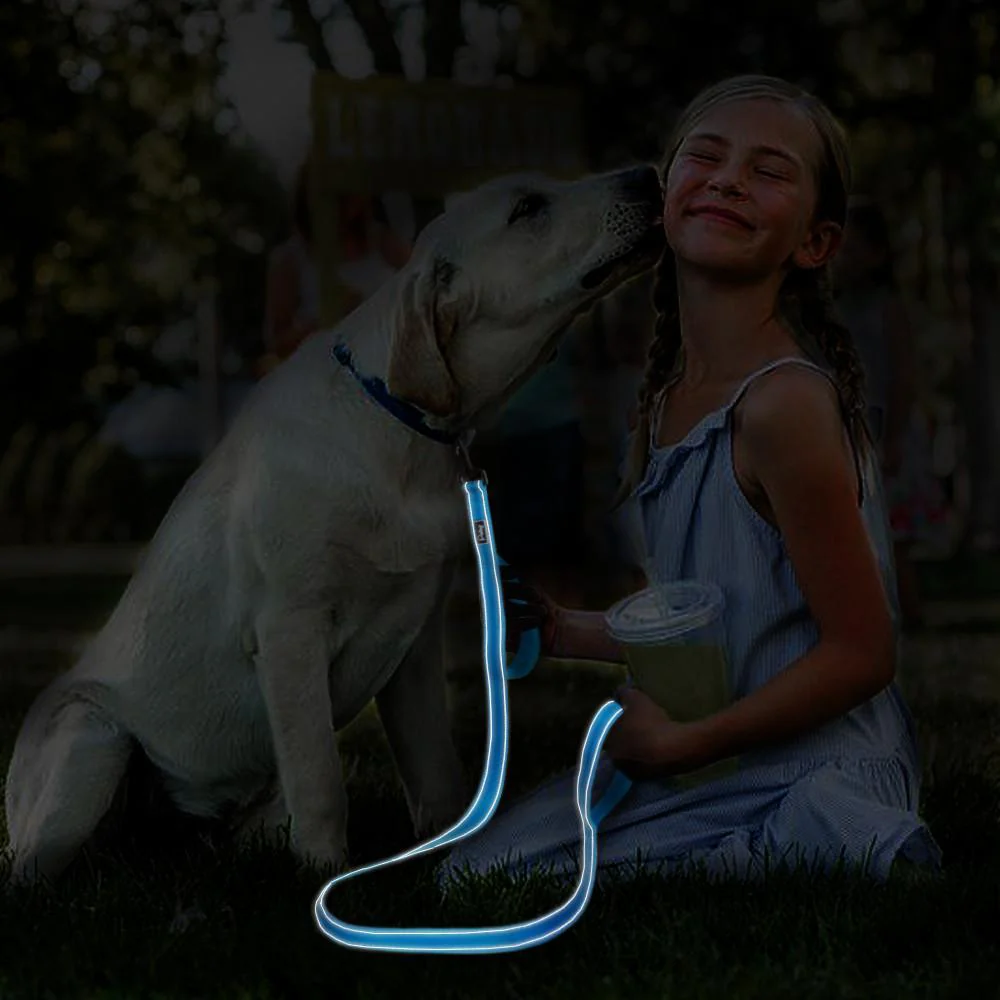Heavy Duty Leash - Image 9