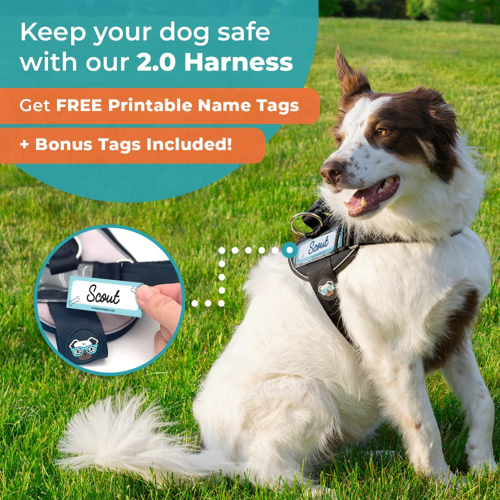 Green Plaid Joyride Premium Advanced Dog Harness 2.0 - Image 5