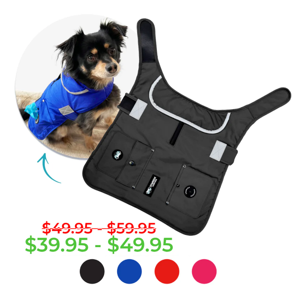 Dog Harness Clearance Sale