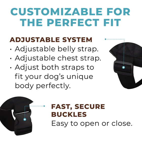 Joyride LUXE Dog Harness 1.0 - Image 18